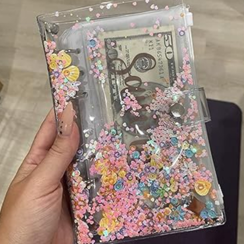Money envelope organizer